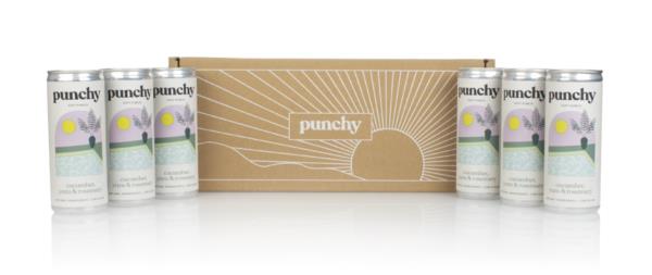Punchy First Dip Soft Punch (6 x 250ml) Mixers