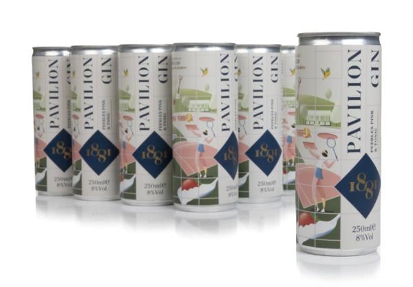 1881 Pavilion Pink Hydro Gin & Tonic (12 x 250ml) Ready to Drink