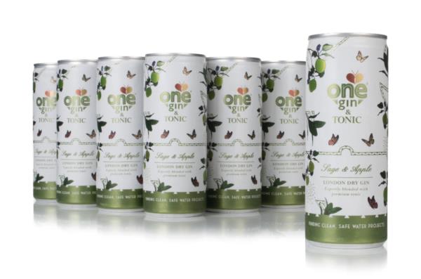 One Gin & Tonic  Sage & Apple (12 x 250ml) Ready to Drink
