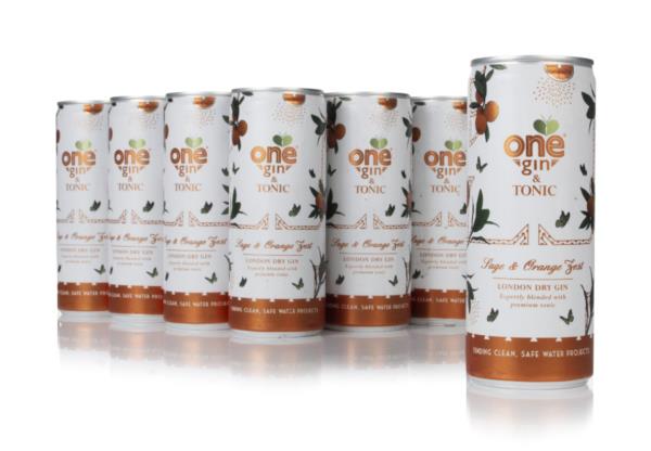 One Gin & Tonic  Sage & Orange Zest (12 x 250ml) Ready to Drink