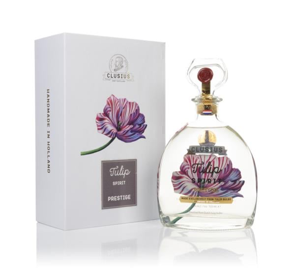 Clusius Tulip Spirit Prestige Spirit